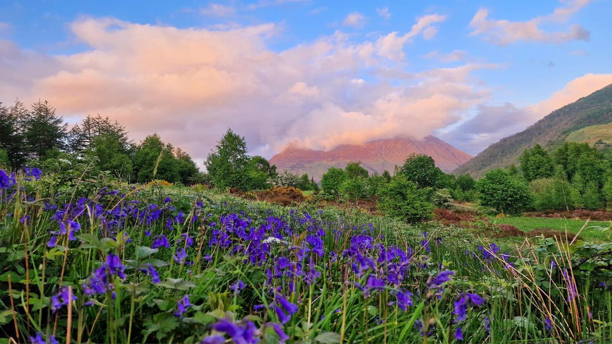 Bothan Creag Sobhrag Ballachulish Exteriér fotografie