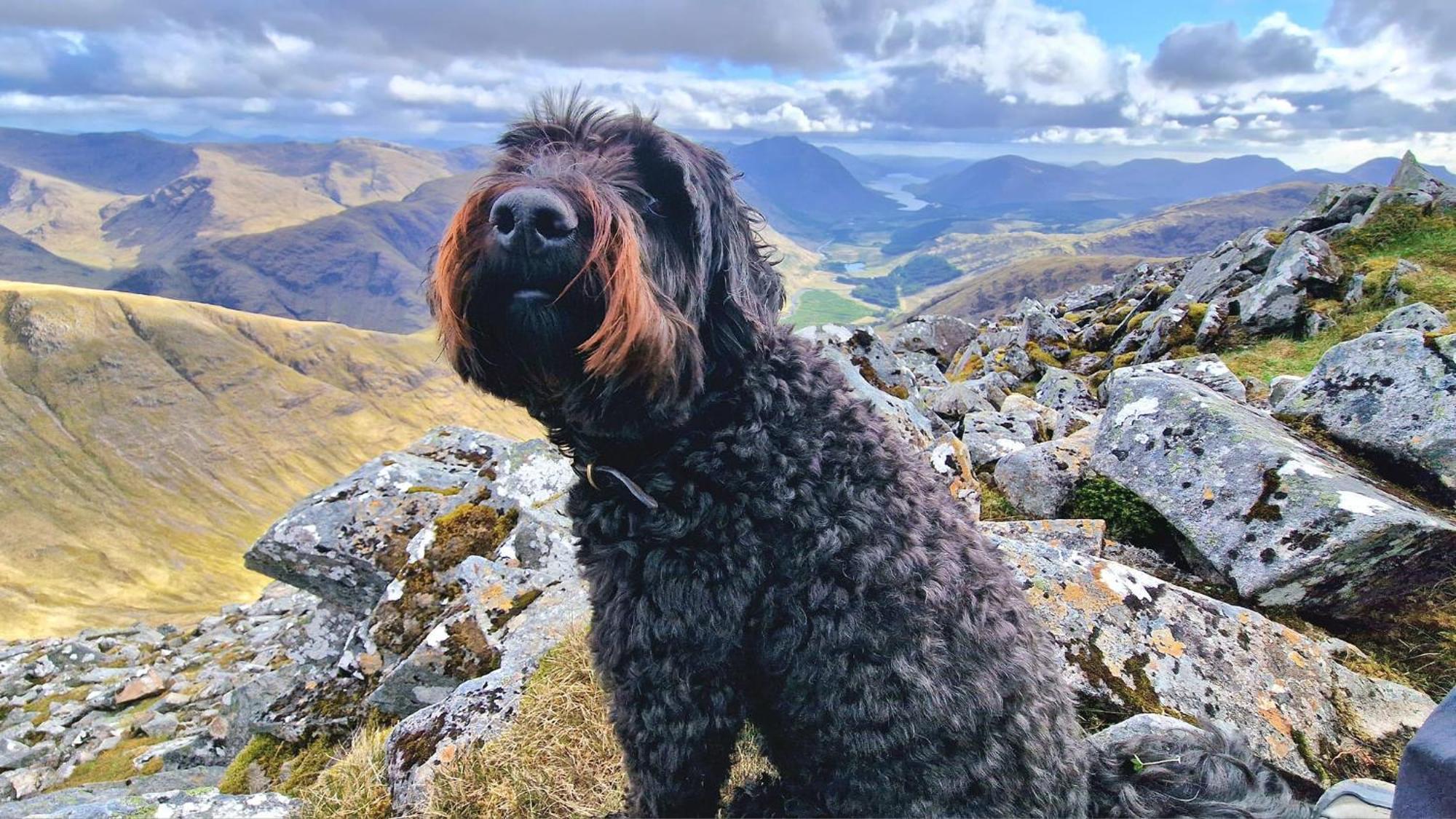 Bothan Creag Sobhrag Ballachulish Exteriér fotografie